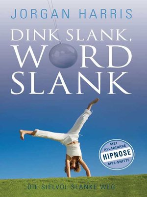 cover image of Dink Slank, Word Slank